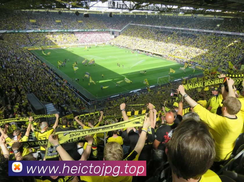 pg官网平台生态图